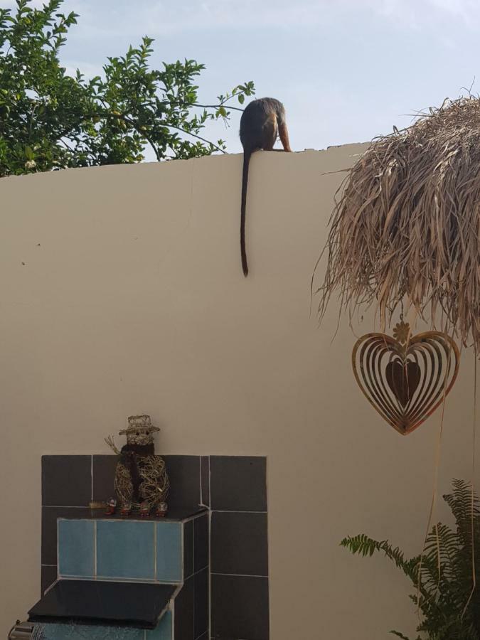 Mandinka Lodge Kololi Luaran gambar